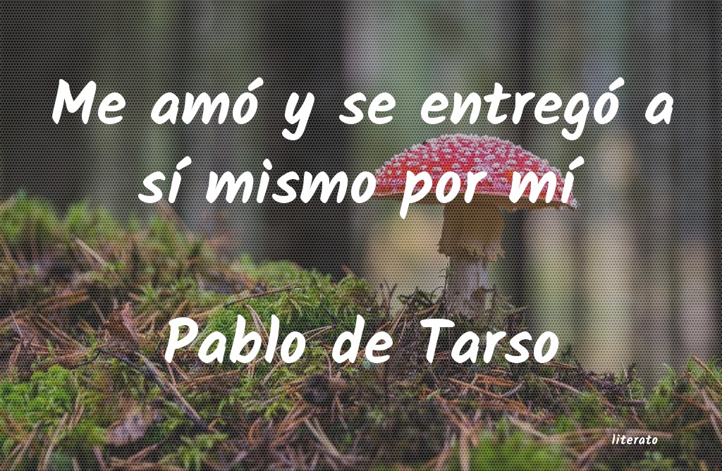 Frases de Pablo de Tarso