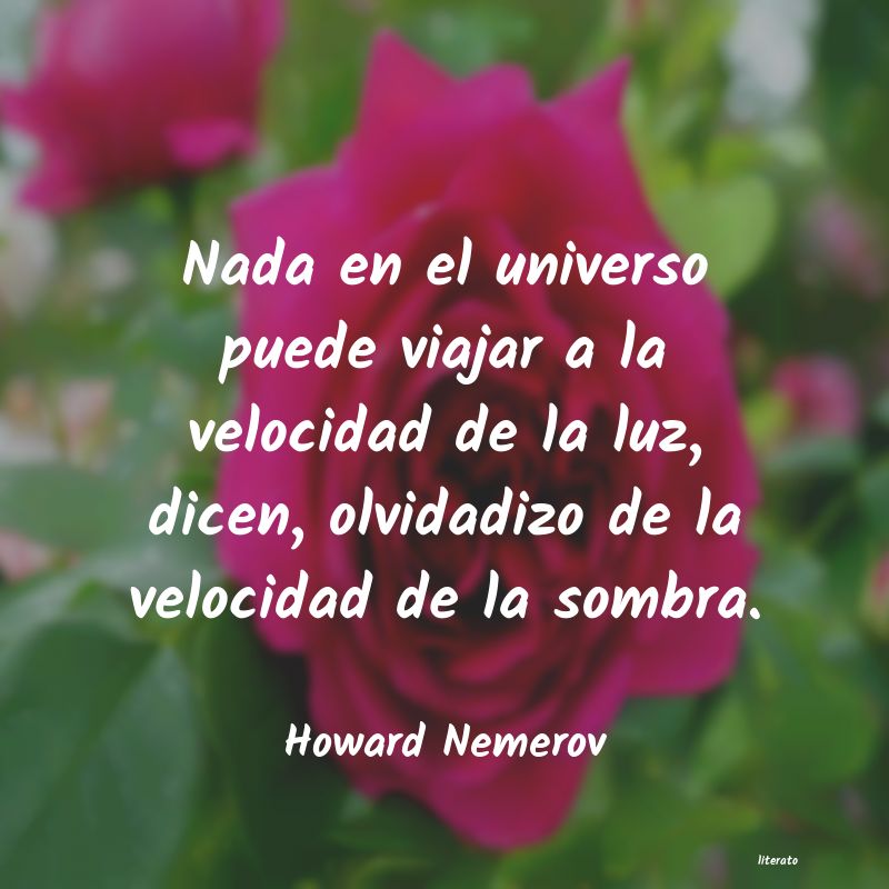 frases de Howard Nemerov