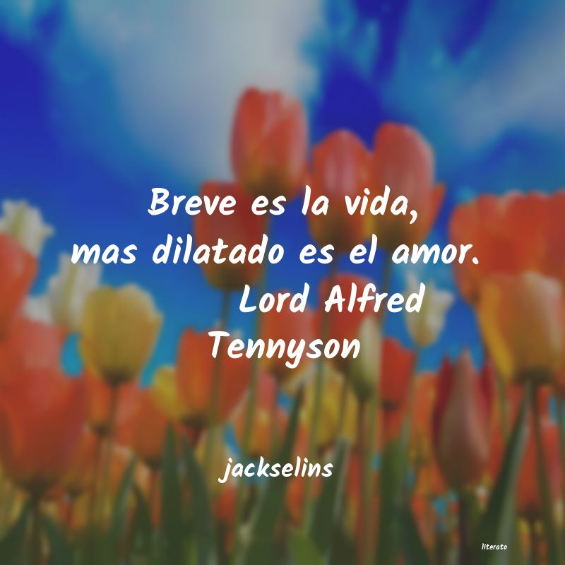 frases de jackselins