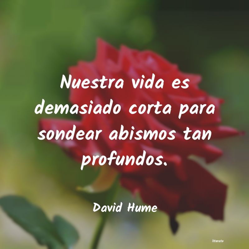 Frases de David Hume