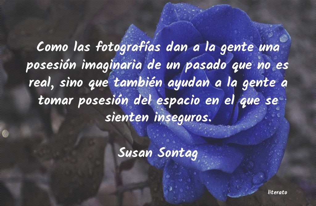 frases de Susan Sontag