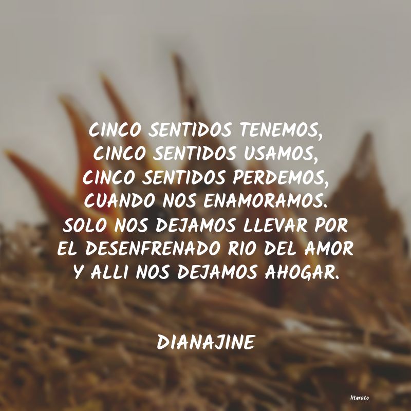 Frases de DIANAJINE