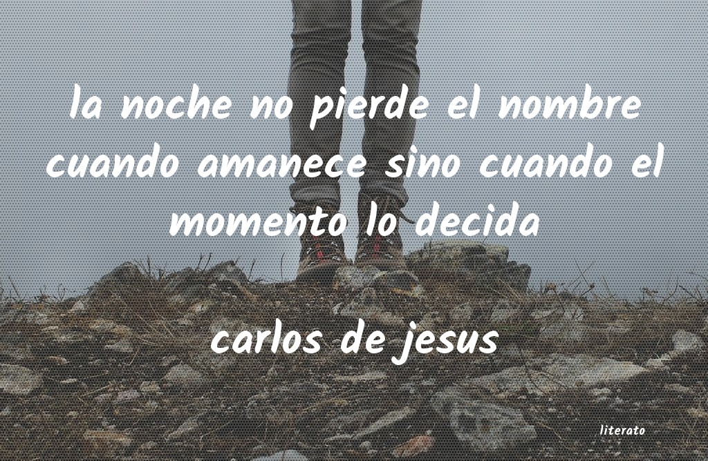 frases de carlos de jesus