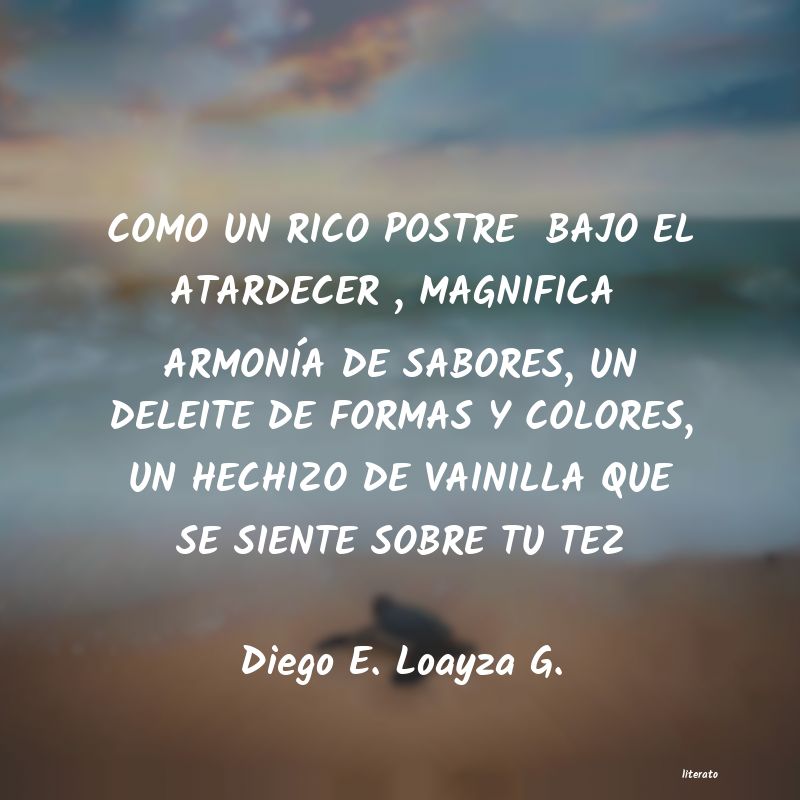 Frases de Diego E. Loayza G.