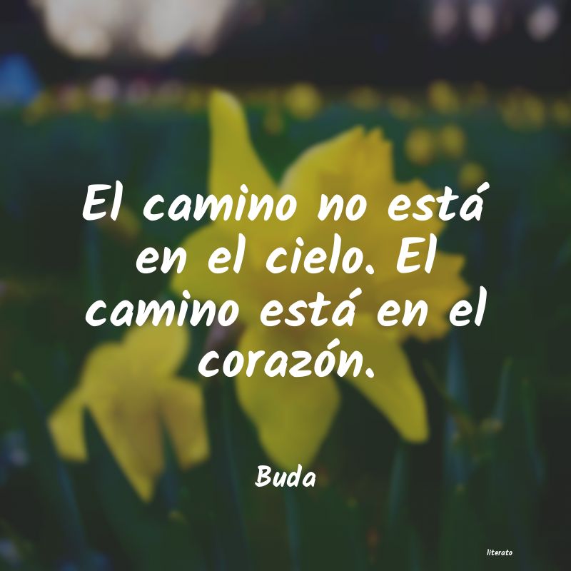 Frases de Buda