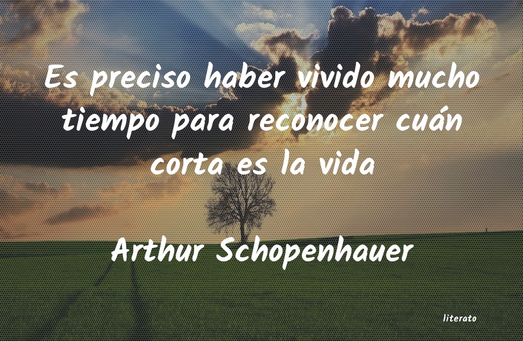 Frases de Arthur Schopenhauer