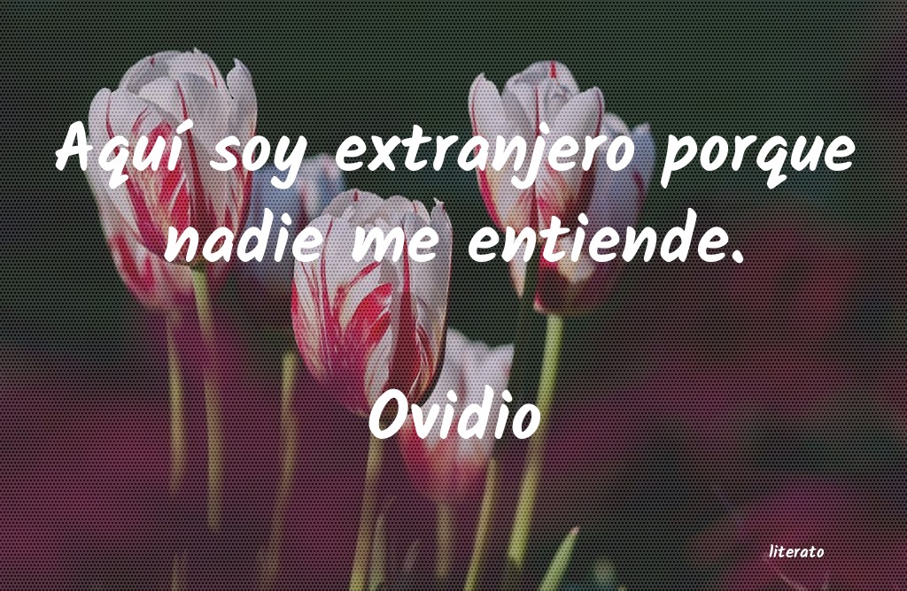 frases de Ovidio
