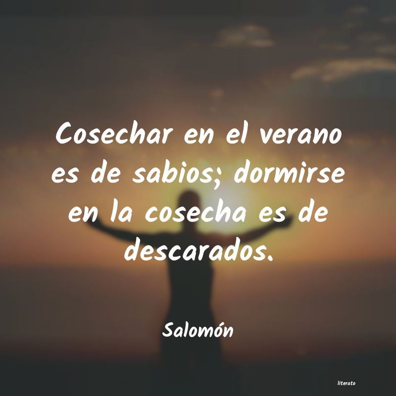 Frases de Salomón