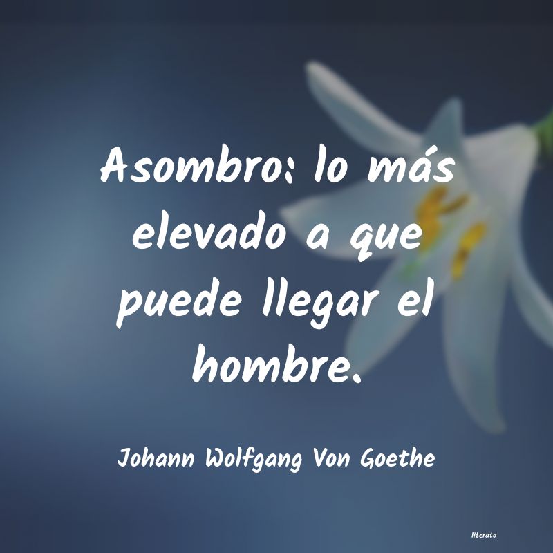 Frases de Johann Wolfgang Von Goethe