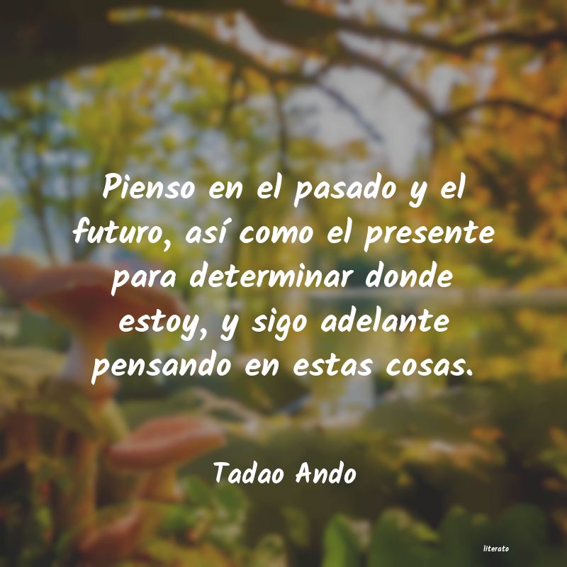 Frases de Tadao Ando