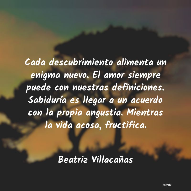 frases de Beatriz Villacañas