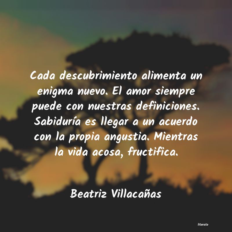 Frases de Beatriz Villacañas