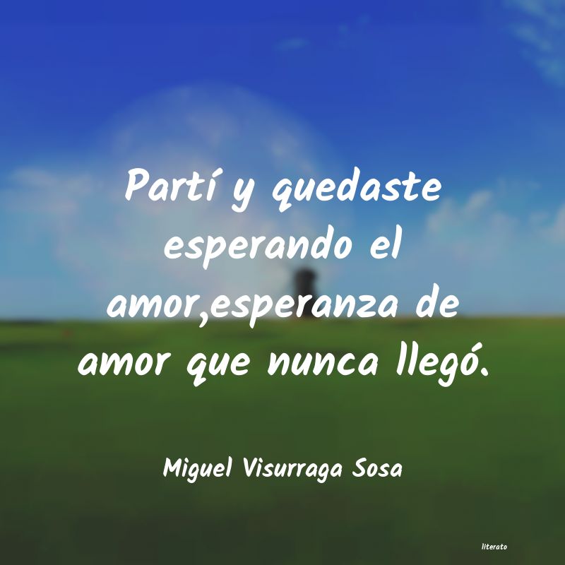 Frases de Miguel Visurraga Sosa