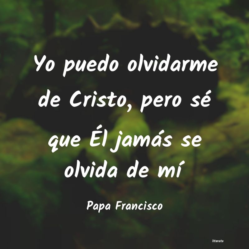 frases de Papa Francisco