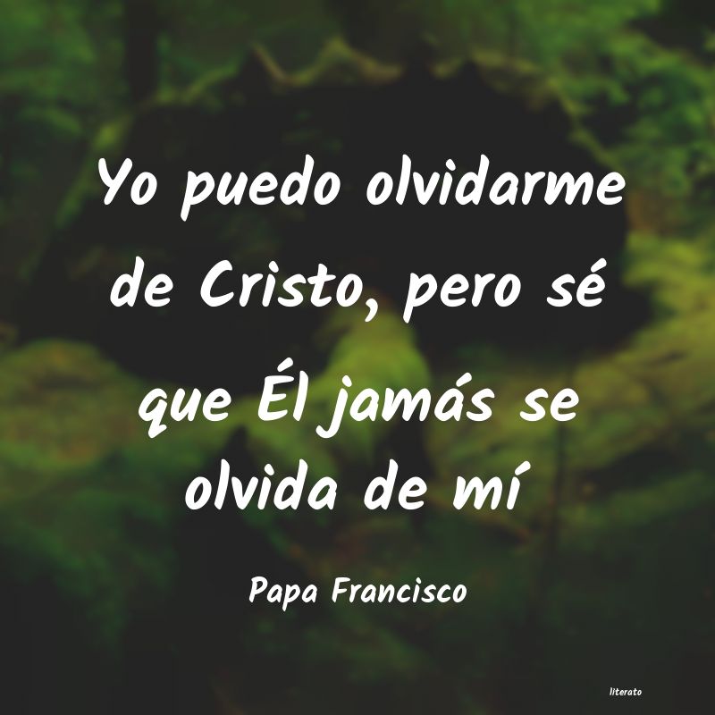 Frases de Papa Francisco