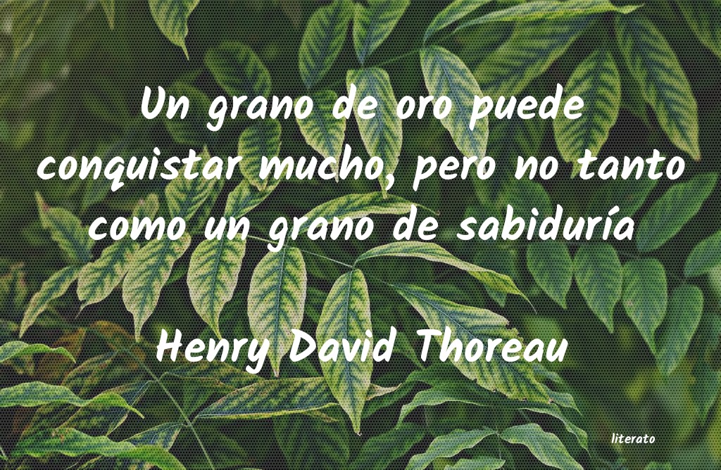 frases de Henry David Thoreau
