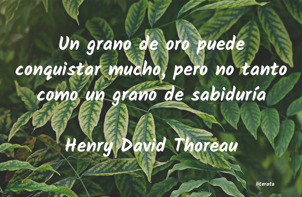 Frases de Henry David Thoreau