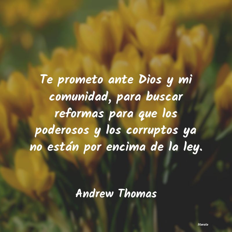 Frases de Andrew Thomas