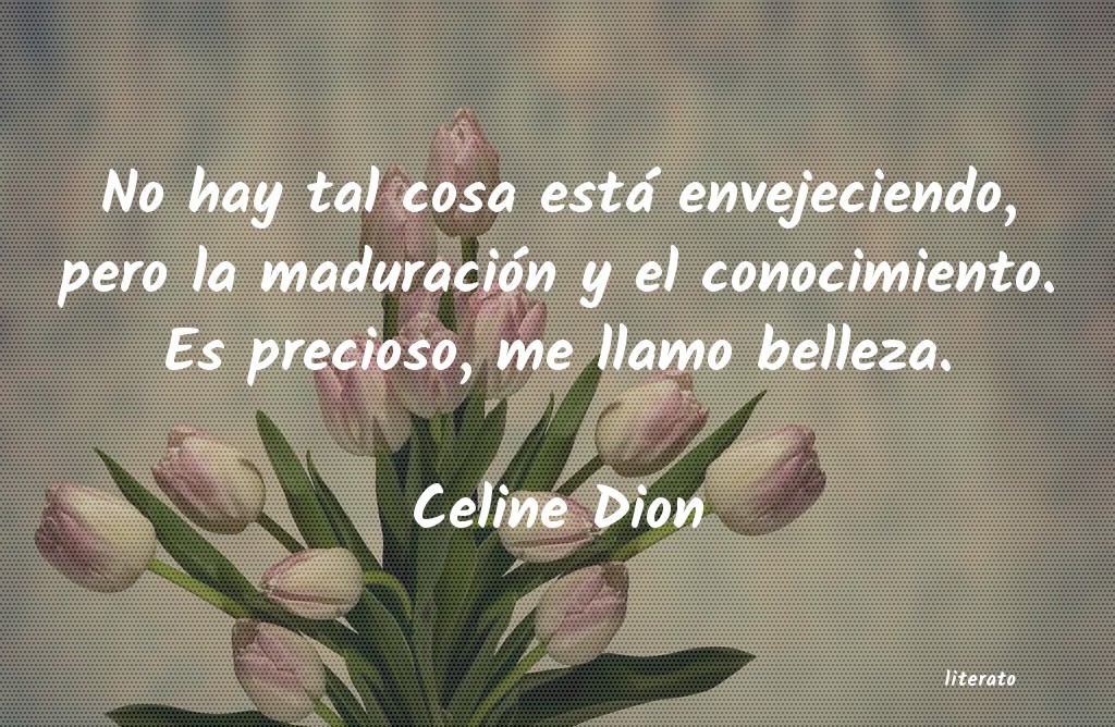 Frases de Celine Dion