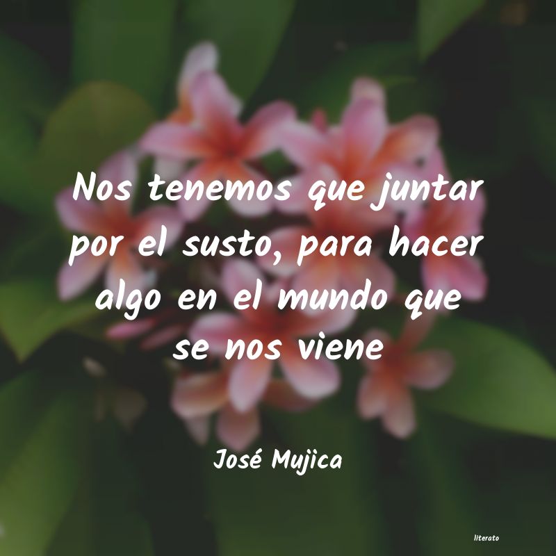 Frases de José Mujica