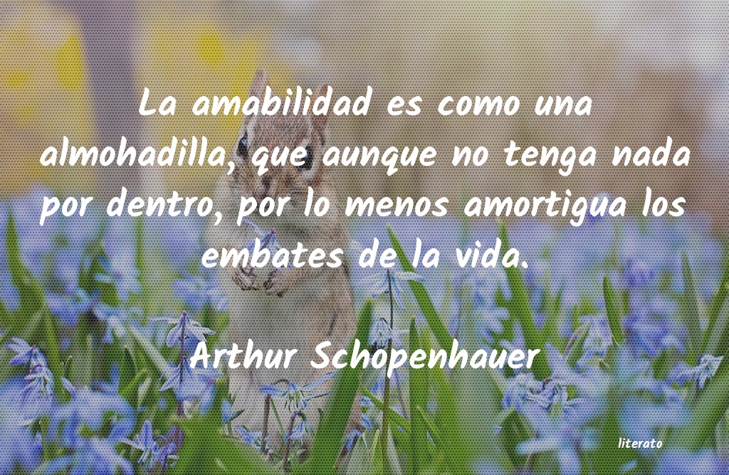 Frases de Arthur Schopenhauer