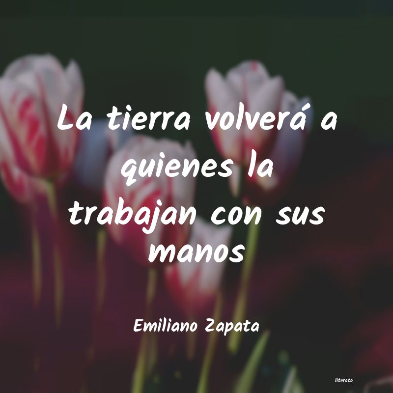 pensamientos de zapata