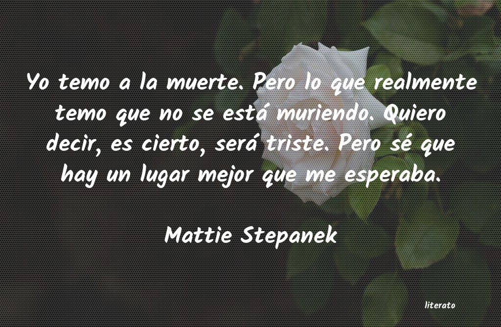 Frases de Mattie Stepanek