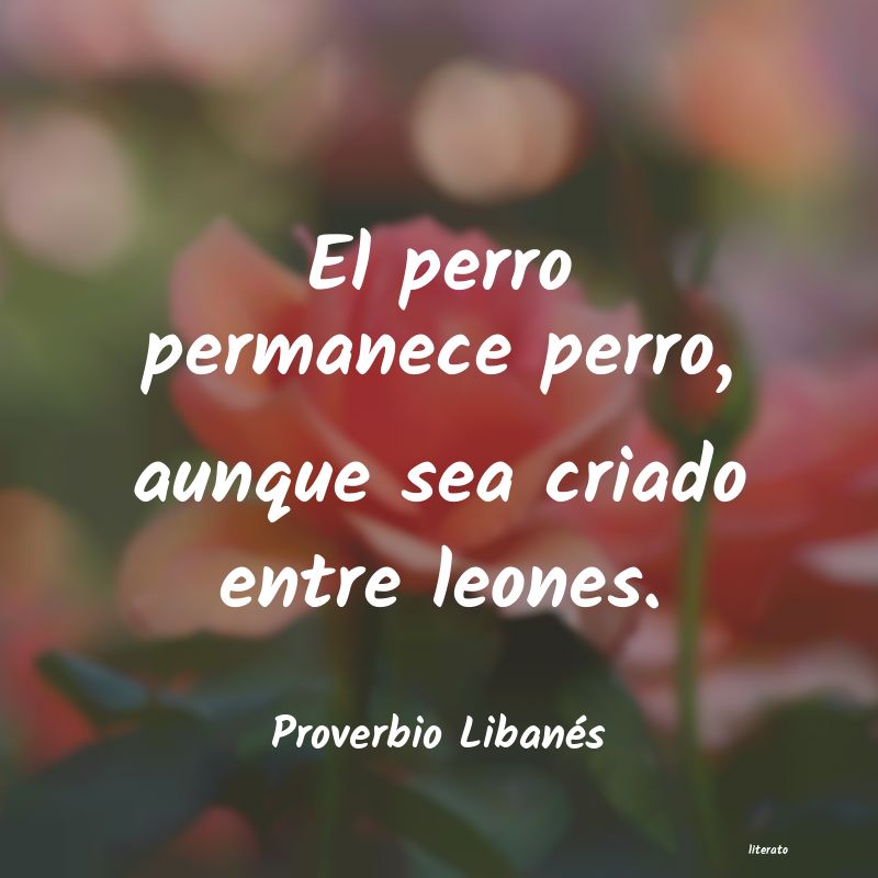 Frases de Proverbio Libanés