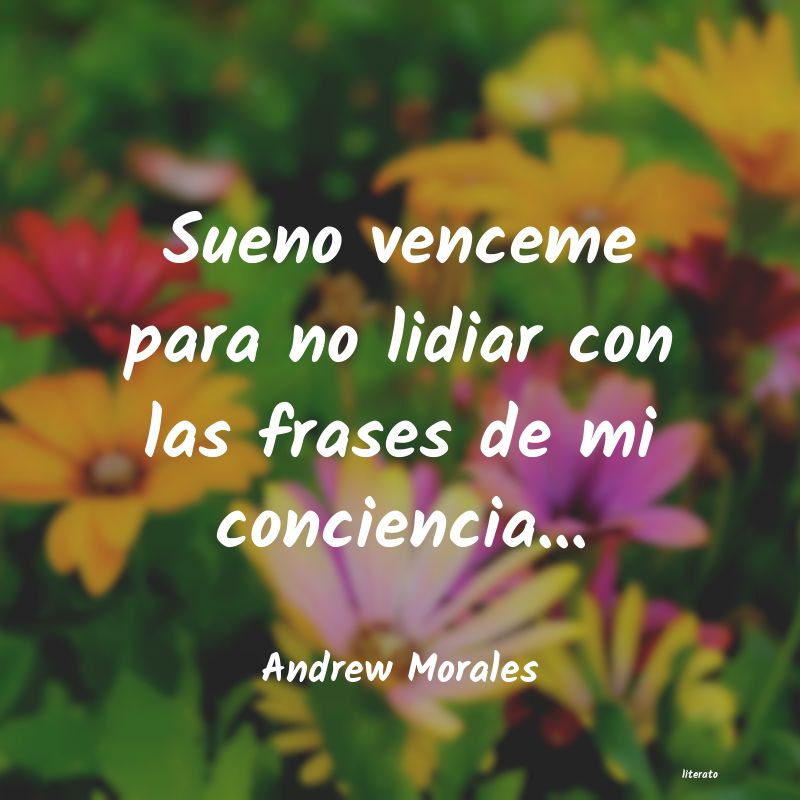 Frases de Andrew Morales