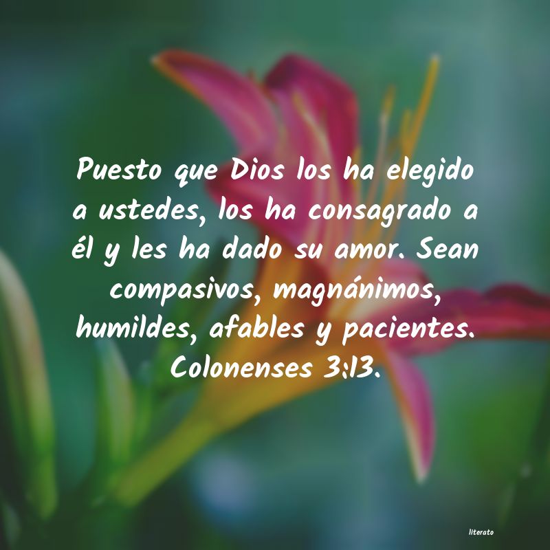 frases