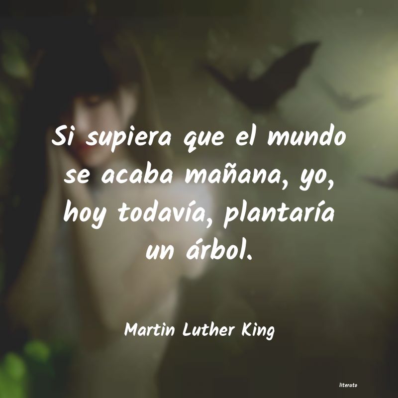 Frases de Martin Luther King