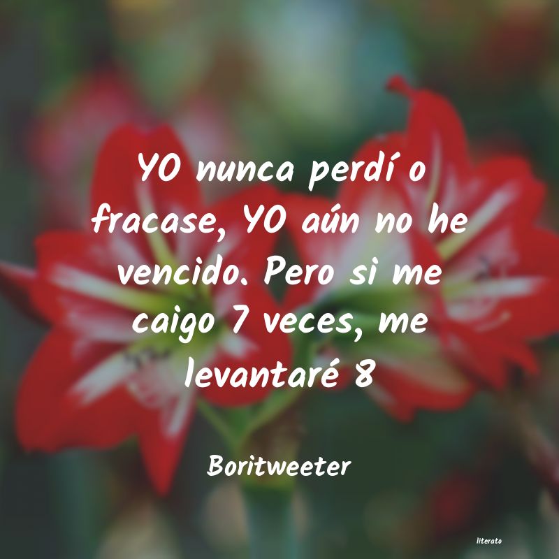 Frases de Boritweeter