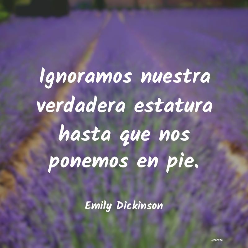 Frases de Emily Dickinson