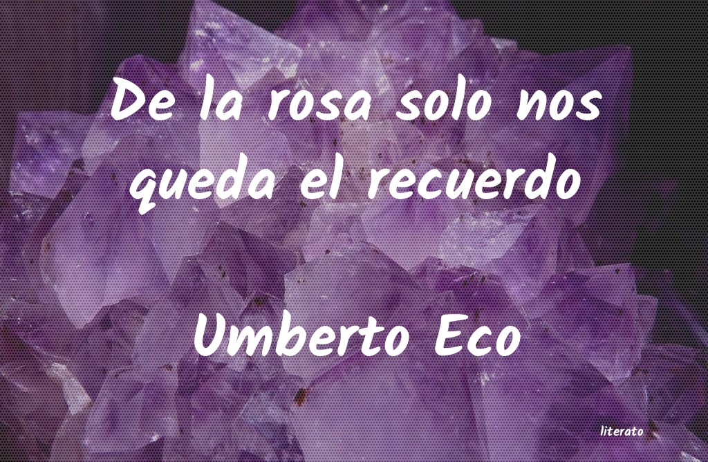 Frases de Umberto Eco