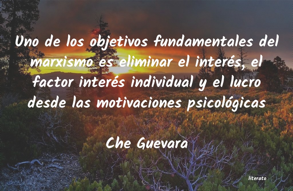 frases de Che Guevara