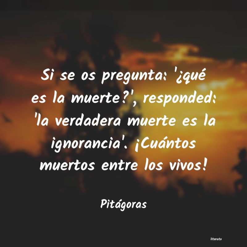 Frases de Pitágoras