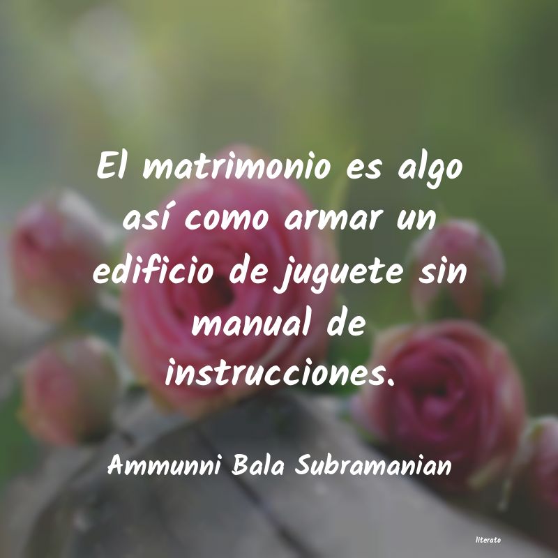 Frases de Ammunni Bala Subramanian