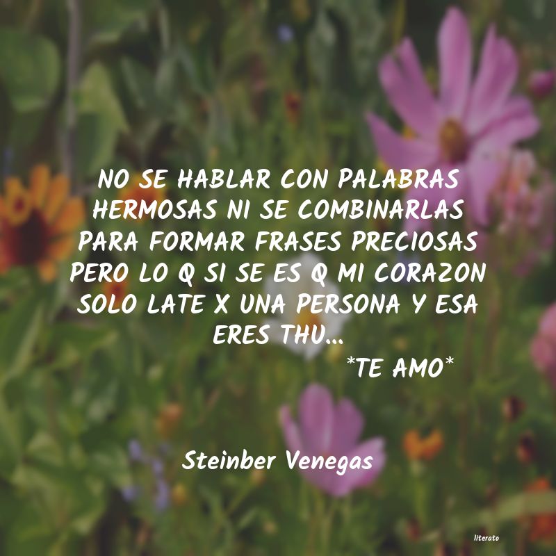 frases de Steinber Venegas