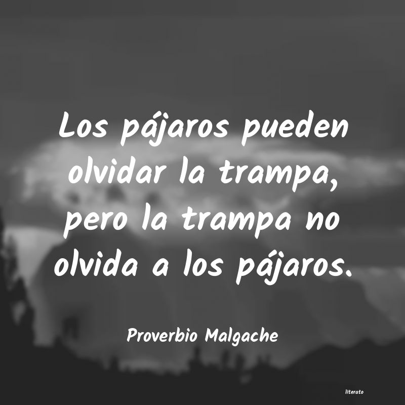 frases de Proverbio Malgache