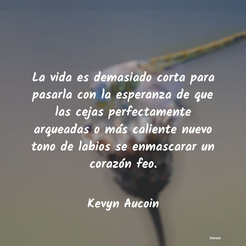 frases de Kevyn Aucoin