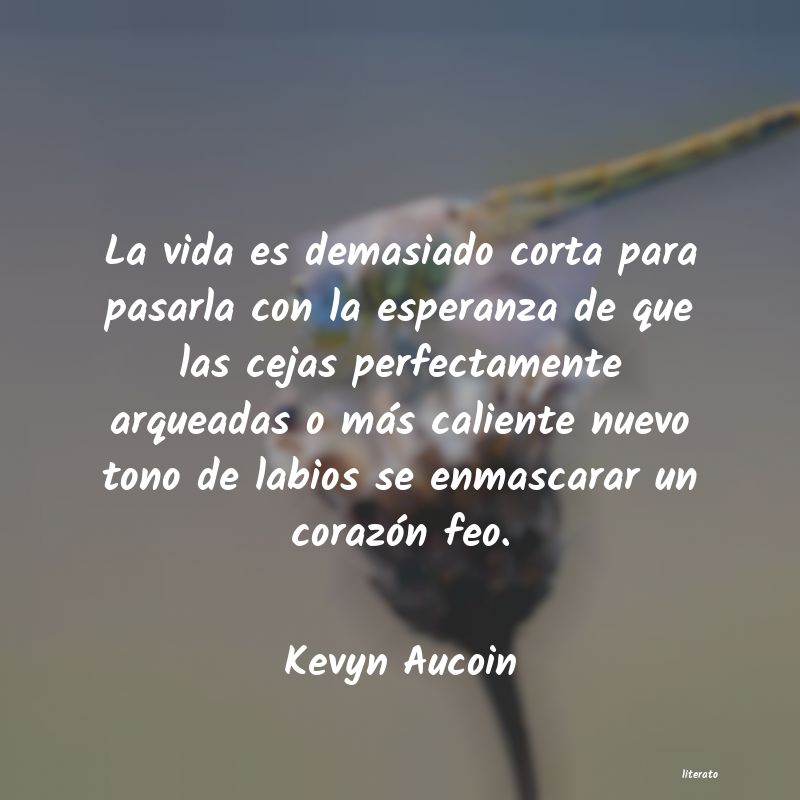 Frases de Kevyn Aucoin