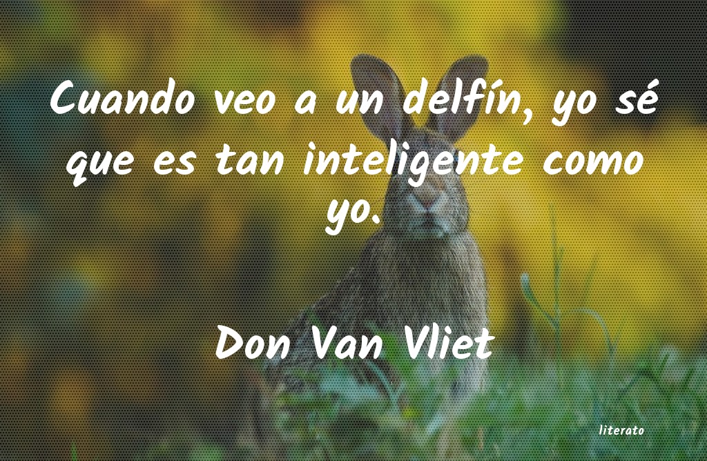 Frases de Don Van Vliet