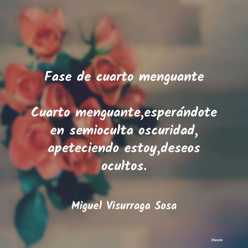 frases de Miguel Visurraga Sosa