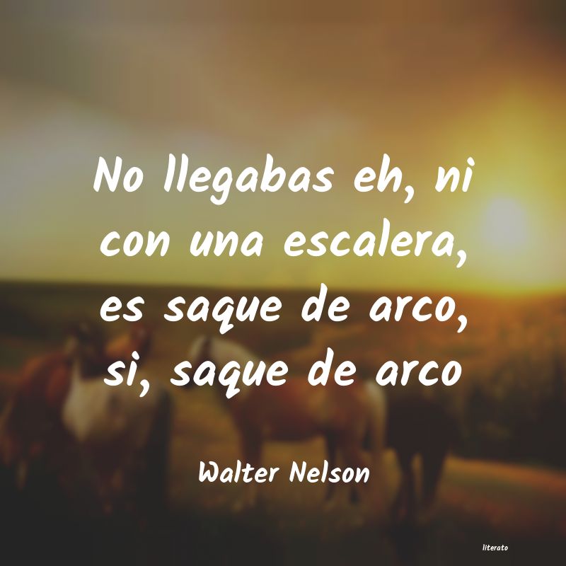 Frases de Walter Nelson