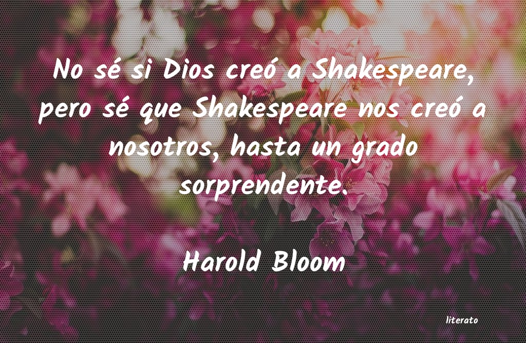 Frases de Harold Bloom