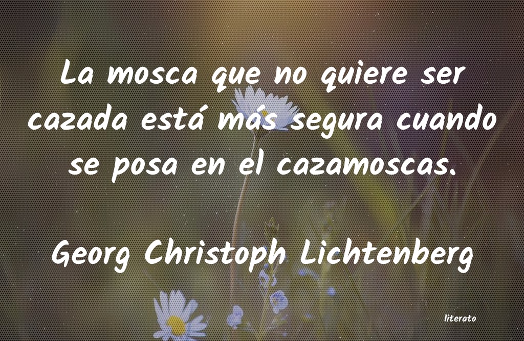 frases de Georg Christoph Lichtenberg