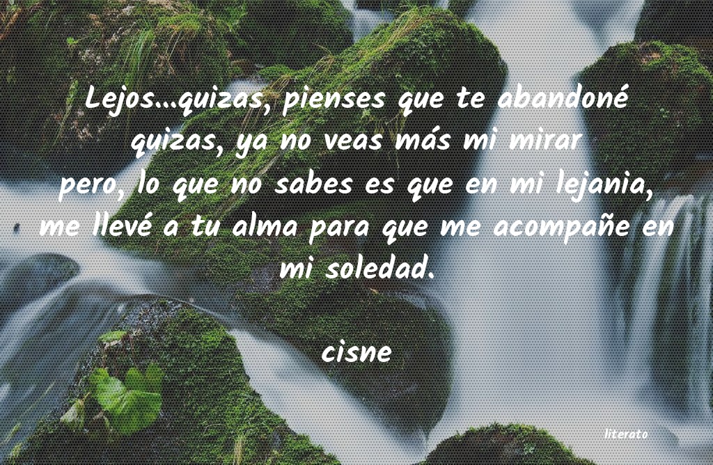 Frases de cisne