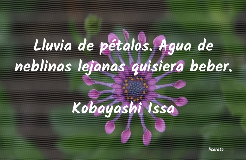 Frases de Kobayashi Issa