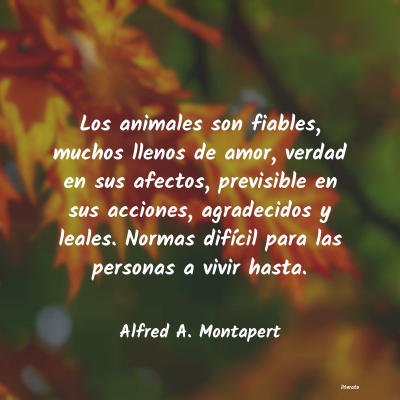 frases de Alfred A. Montapert