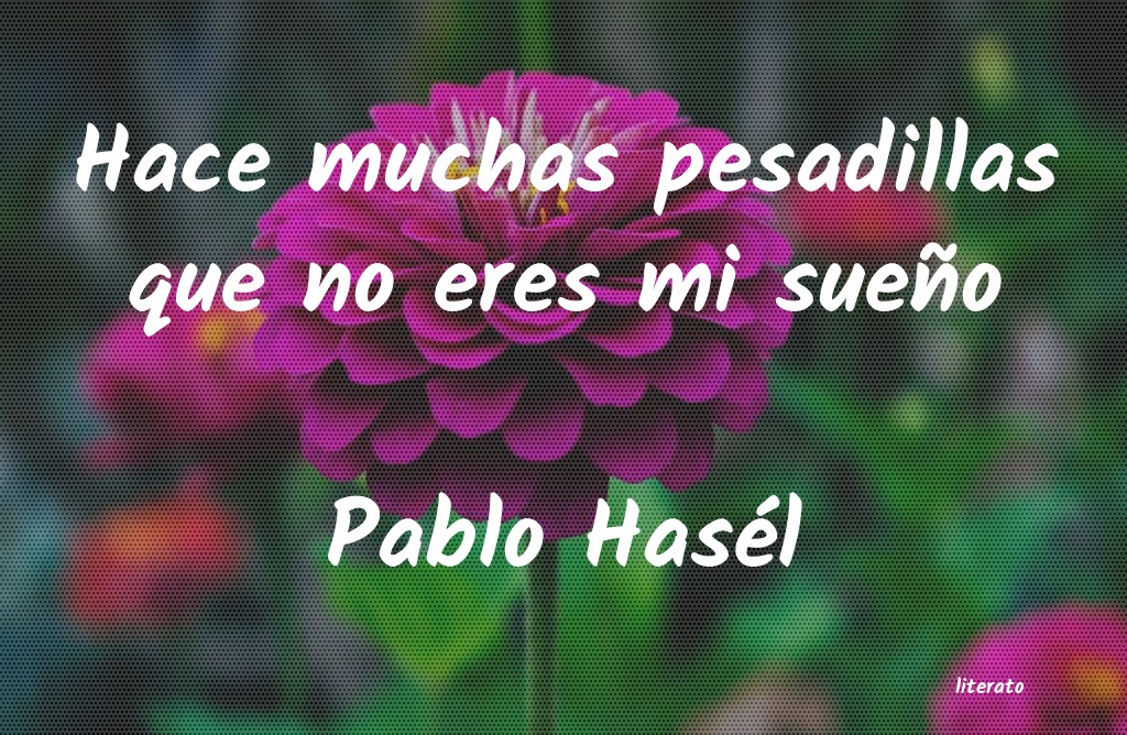frases de Pablo Hasél